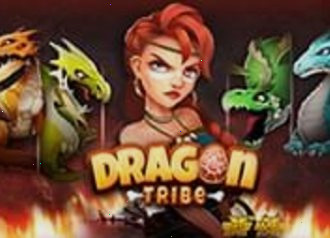 dragon tribe nls